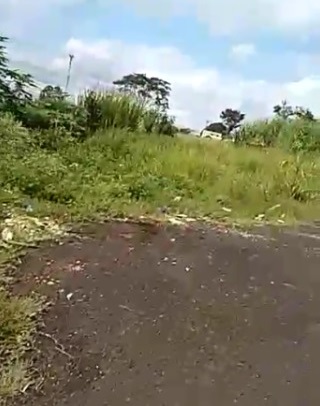 Foto 19 de 19 — Reclamação: “Onde deveria ser uma rua, só tem mato, lixo e água parada”, diz morador